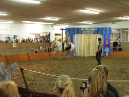 IMG_5259_web